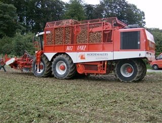 bietenrooier 