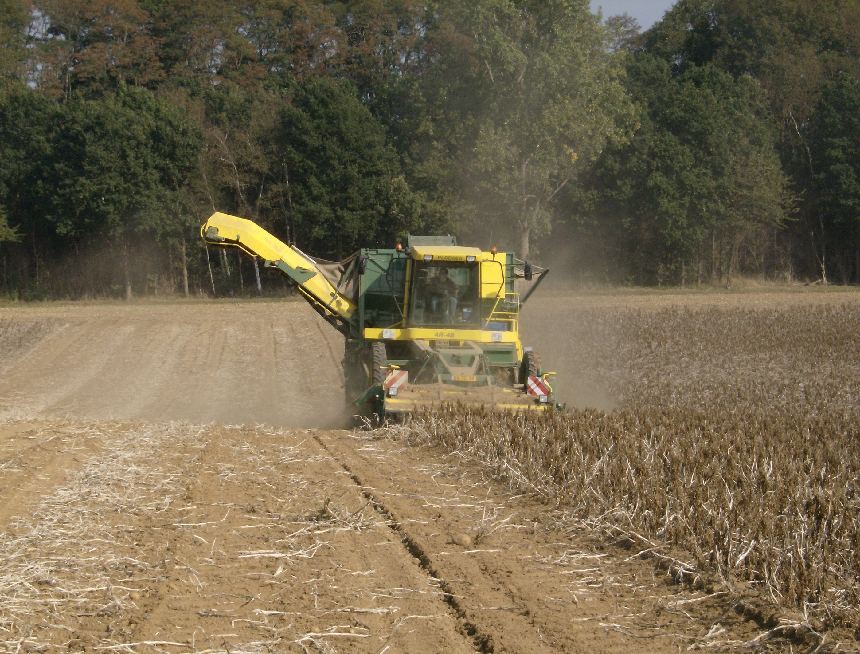 Stoffige aardappeloogst