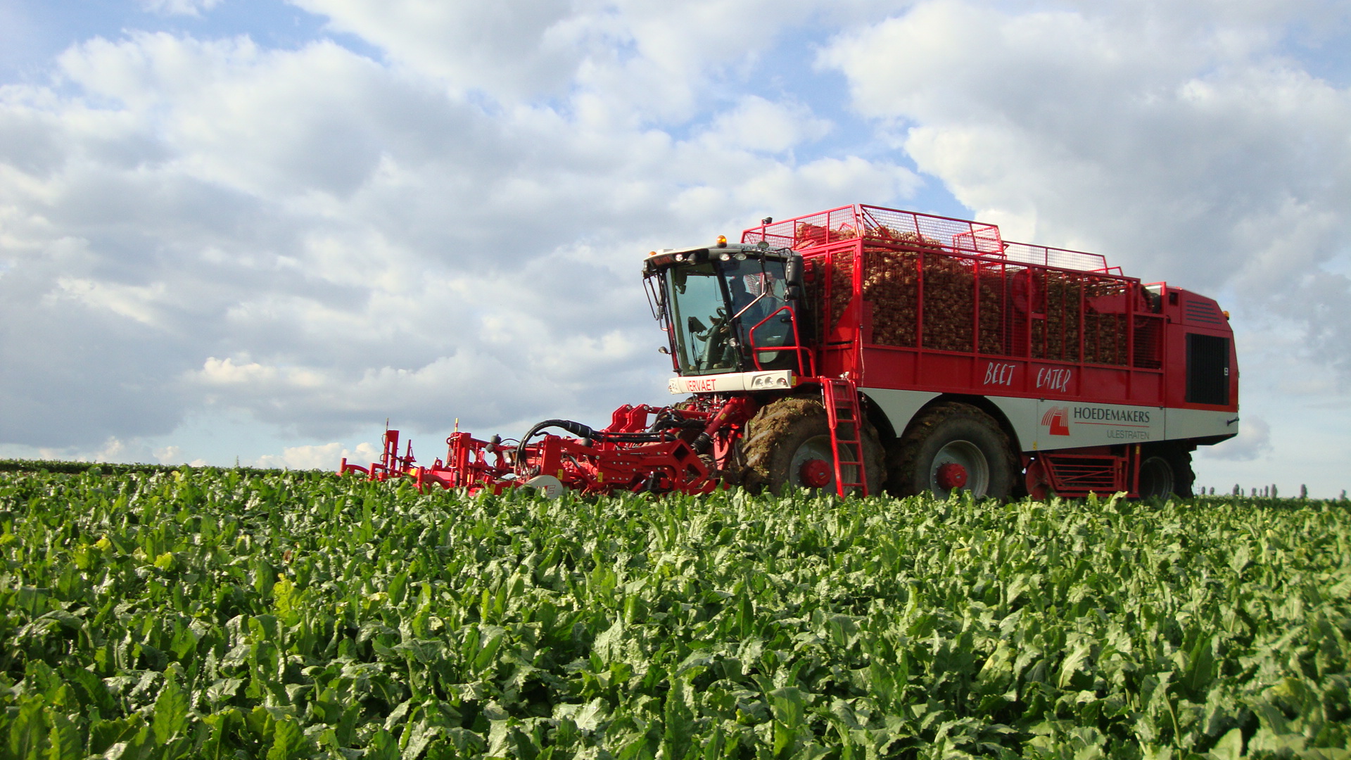 Nieuwe Vervaet Beet Eater