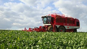 Vervaet Beet Eater 625