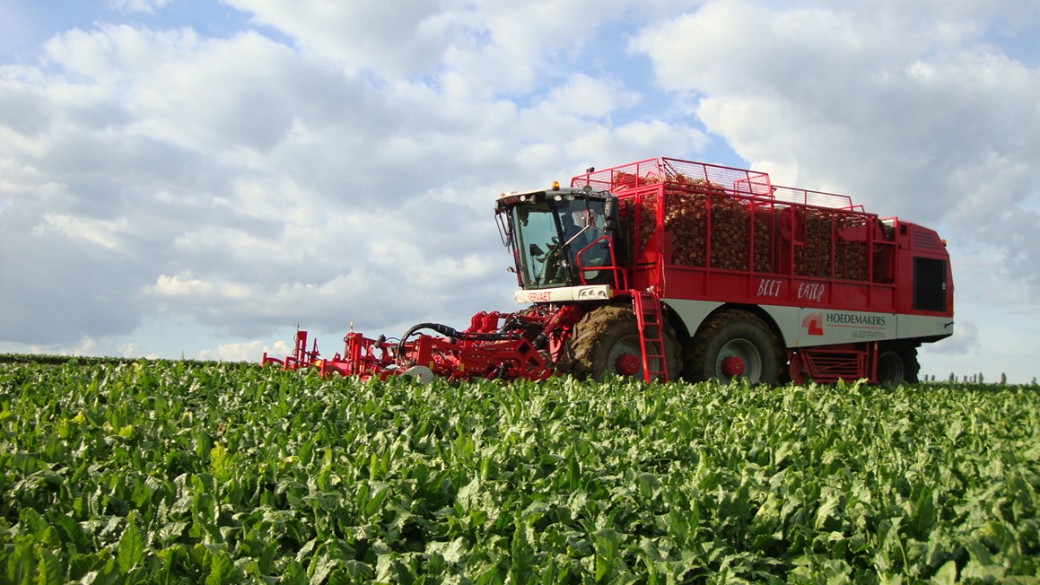 Vervaet Beet Eater 625