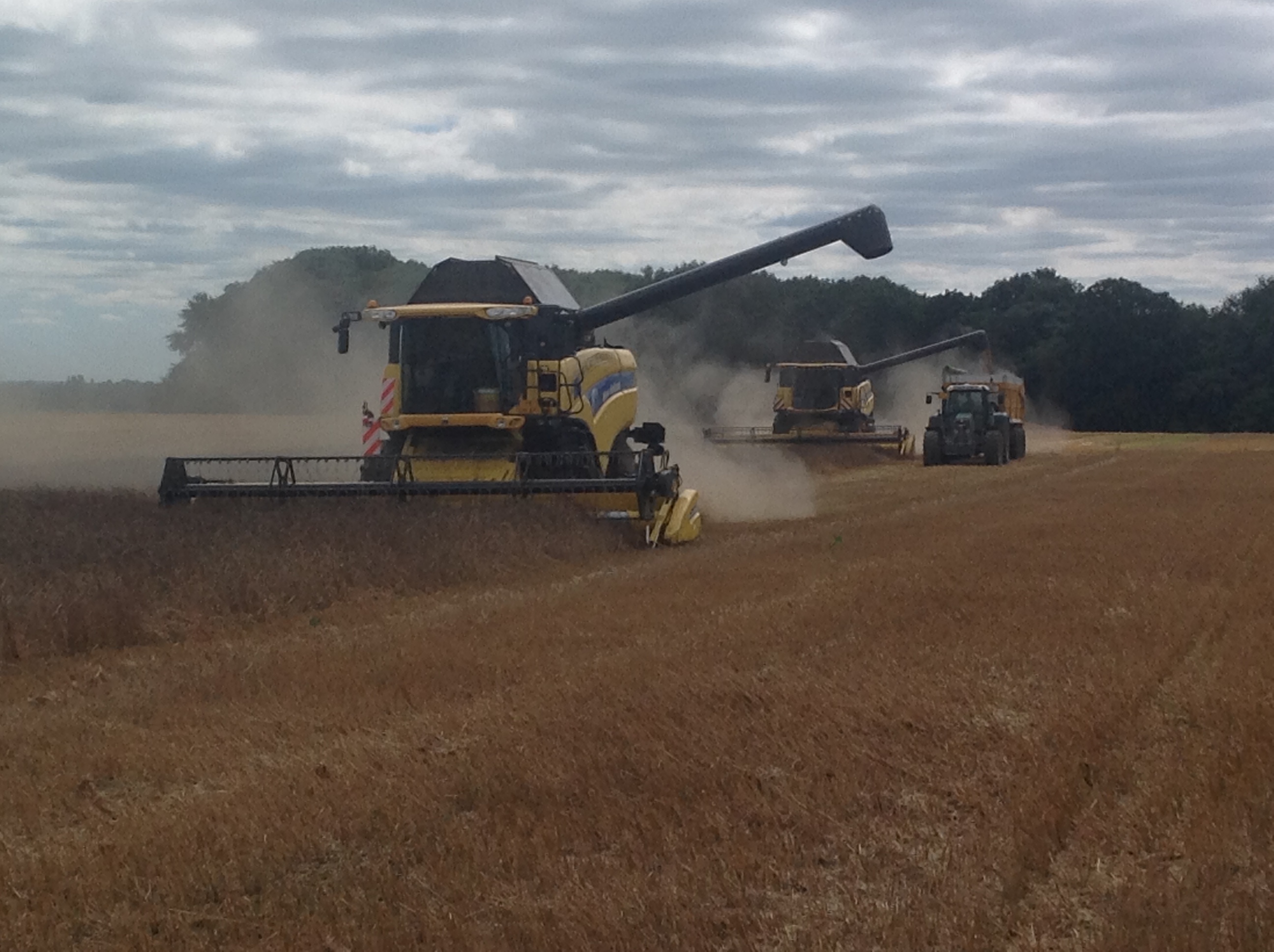 Graanoogst weer opgestart