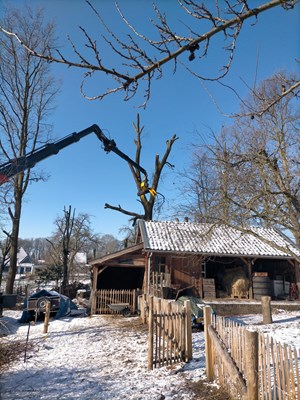 velkop11