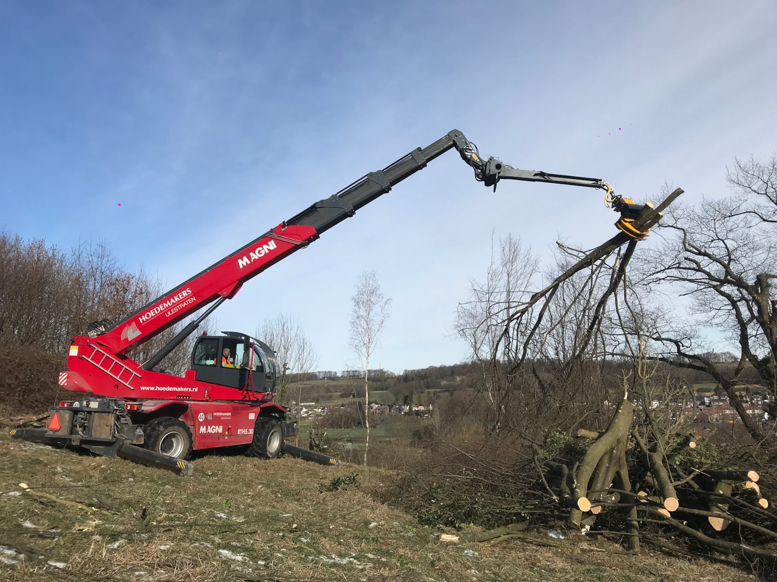 Verreiker met velkop